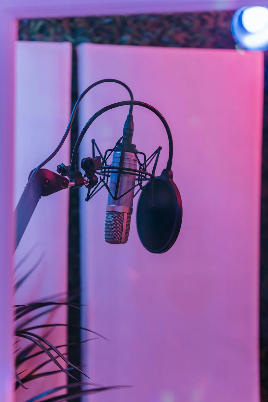 Studio condenser microphone with dual-layer mesh pop filter in isolation room